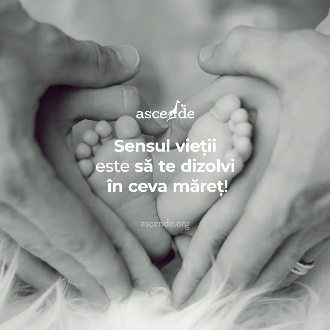 Sensul vieții este să te dizolvi în ceva măreț!