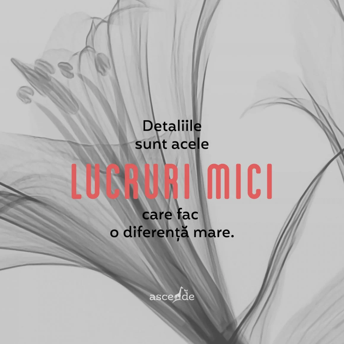 Detaliile sunt acele lucruri mici, pe care uneori nici nu le observi că sunt acolo dar care au un impact mare asupra calității, satisfacției și reușitei.