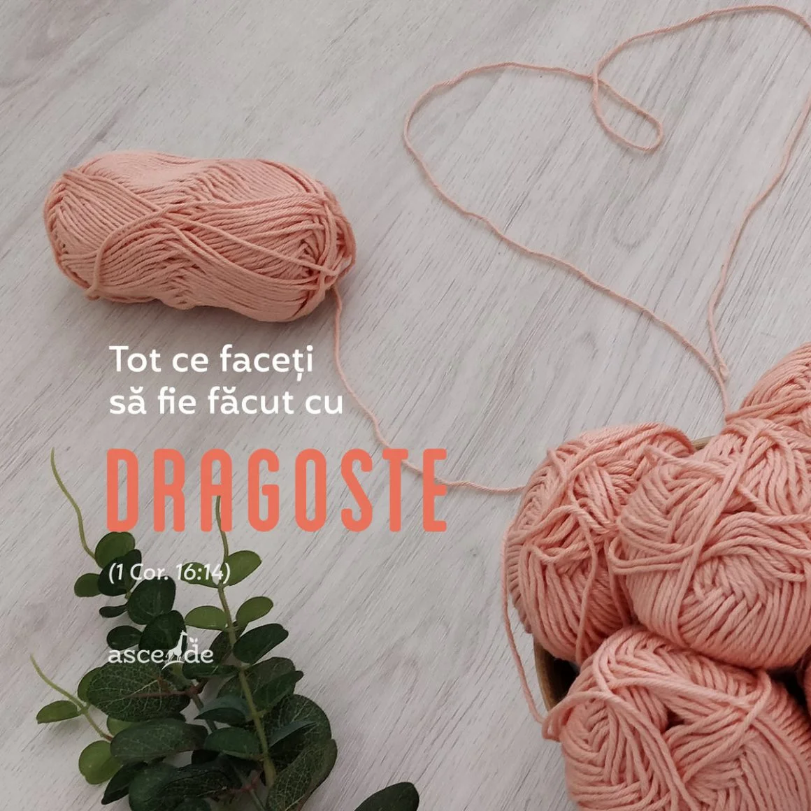 "Tot ce faceti sa fie facut cu dragoste!" (1Cor.16:14).