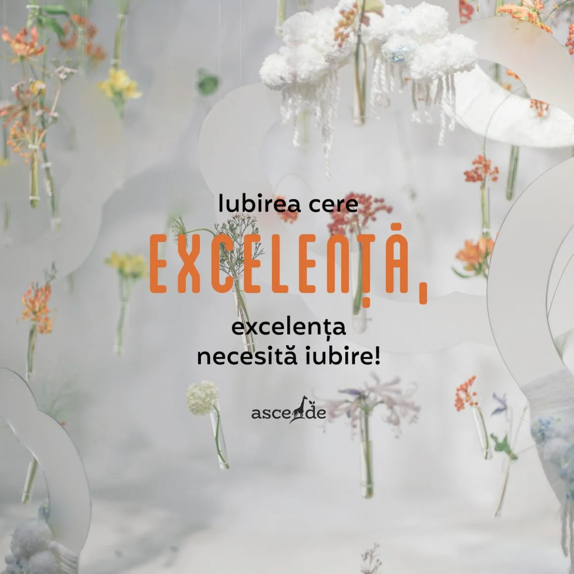 Iubirea cere excelență, iubirea te îndeamnă la excelență, iubirea înseamnă trăirea în excelență iar excelența cere iubire.