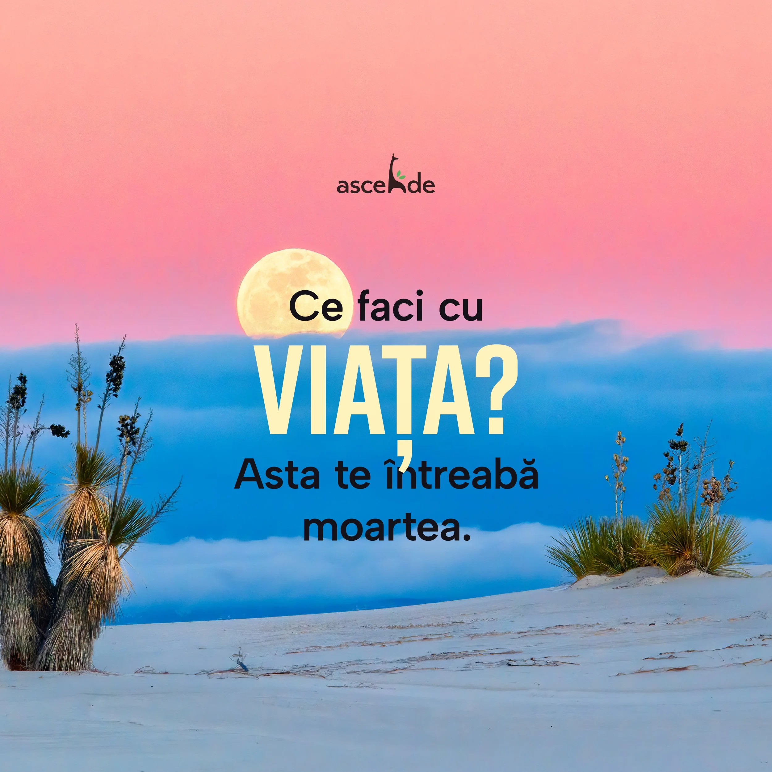 Ce faci cu viata? Asta te întreabă moartea.